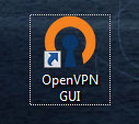 ovpn-icon